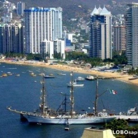 Meet your Posher, Carlos jr anaya - Picture 1 of 1